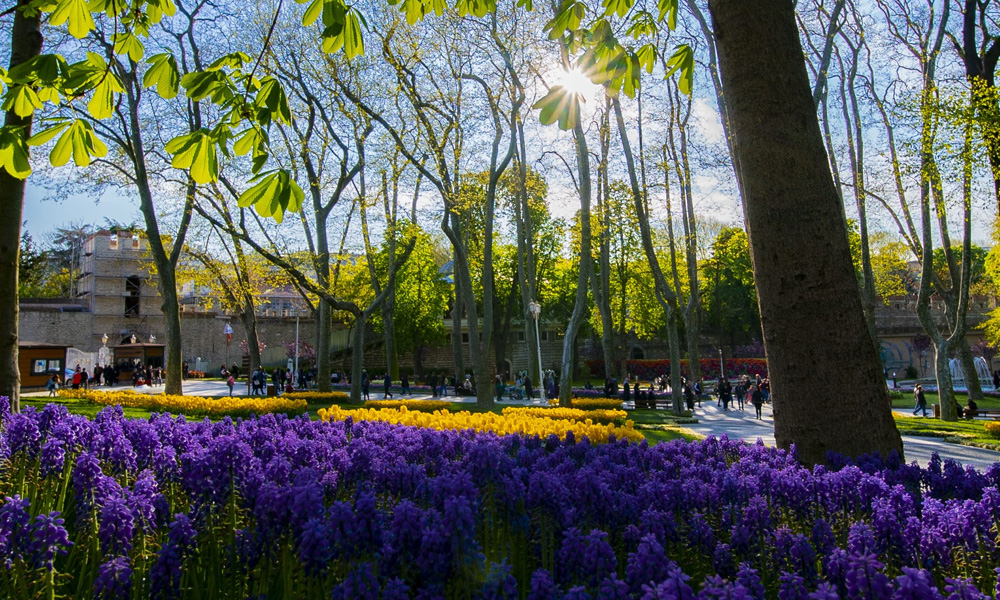 پارک فنر باغچه استانبول